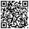 QR Code Handyversion