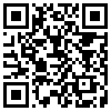 QR Code Handyversion