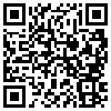 QR Code Handyversion