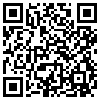 QR Code Handyversion