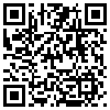 QR Code Handyversion