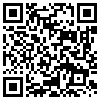 QR Code Handyversion