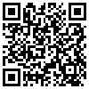 QR Code Handyversion