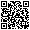 QR Code Handyversion