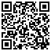 QR Code Handyversion