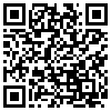 QR Code Handyversion