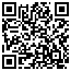 QR Code Handyversion