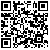 QR Code Handyversion