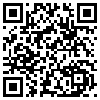 QR Code Handyversion
