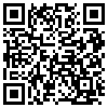 QR Code Handyversion