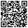 QR Code Handyversion