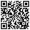 QR Code Handyversion