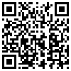 QR Code Handyversion