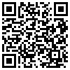 QR Code Handyversion