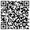 QR Code Handyversion