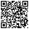 QR Code Handyversion