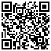 QR Code Handyversion