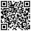 QR Code Handyversion