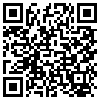 QR Code Handyversion