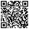 QR Code Handyversion