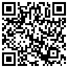 QR Code Handyversion