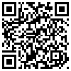 QR Code Handyversion