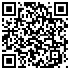 QR Code Handyversion