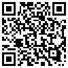 QR Code Handyversion