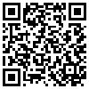 QR Code Handyversion