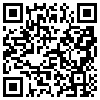 QR Code Handyversion