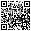 QR Code Handyversion