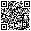 QR Code Handyversion