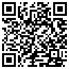 QR Code Handyversion