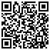 QR Code Handyversion