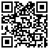 QR Code Handyversion
