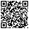 QR Code Handyversion