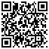 QR Code Handyversion