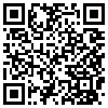 QR Code Handyversion