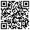 QR Code Handyversion