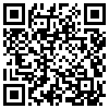 QR Code Handyversion