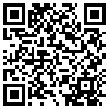 QR Code Handyversion