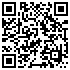 QR Code Handyversion