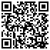 QR Code Handyversion