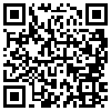 QR Code Handyversion