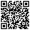 QR Code Handyversion