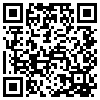 QR Code Handyversion