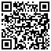 QR Code Handyversion