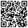 QR Code Handyversion