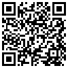 QR Code Handyversion