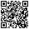 QR Code Handyversion